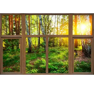 Наклейка інтер'єрна Вікно з видом на ліс 150х98 см (2705229)